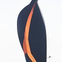 lesvoilesStTropez09 (179)